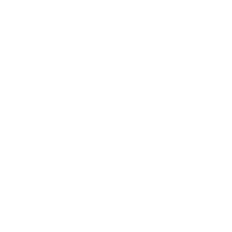 drone ROV inspection cost icon