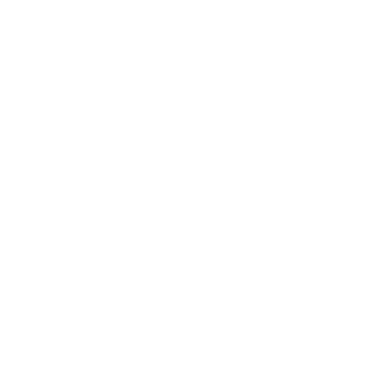 drone & ROV inspection speed icon